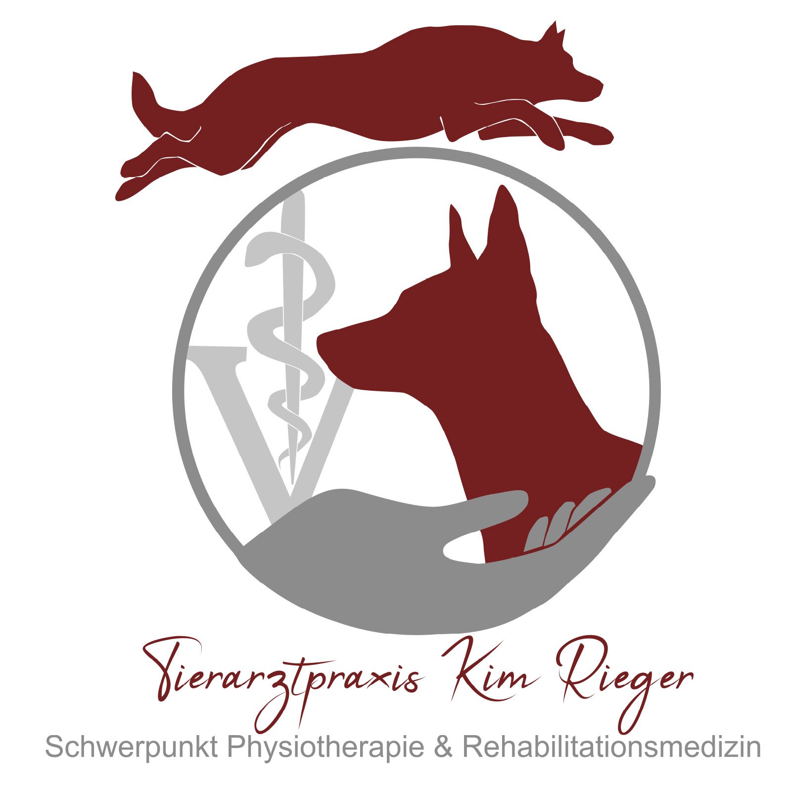 Tierarztpraxis Kim Rieger